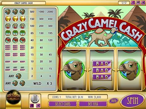 Jogar Crazy Camel Cash com Dinheiro Real